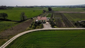 secitrovi Fano